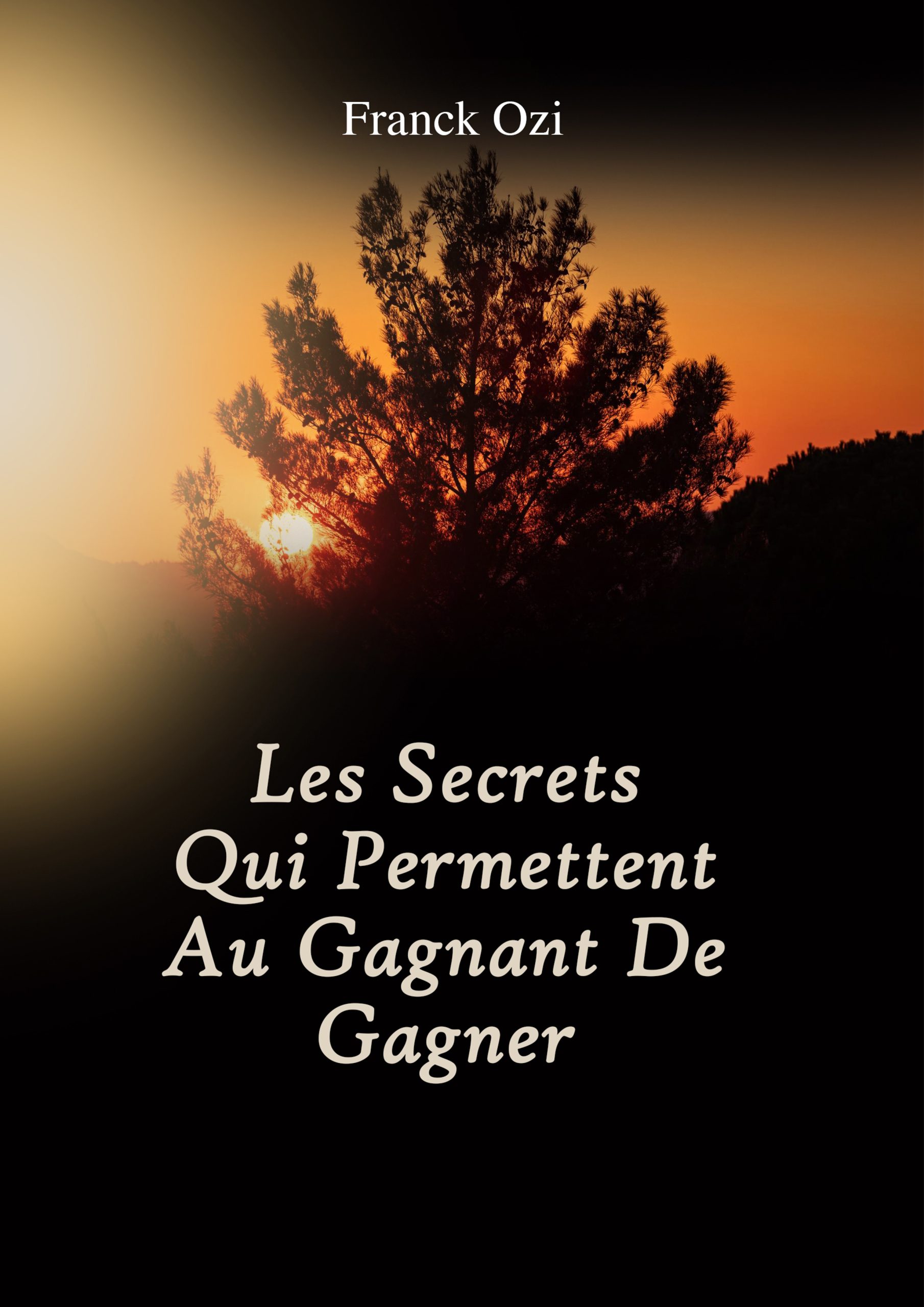 Les Secret - French Cover