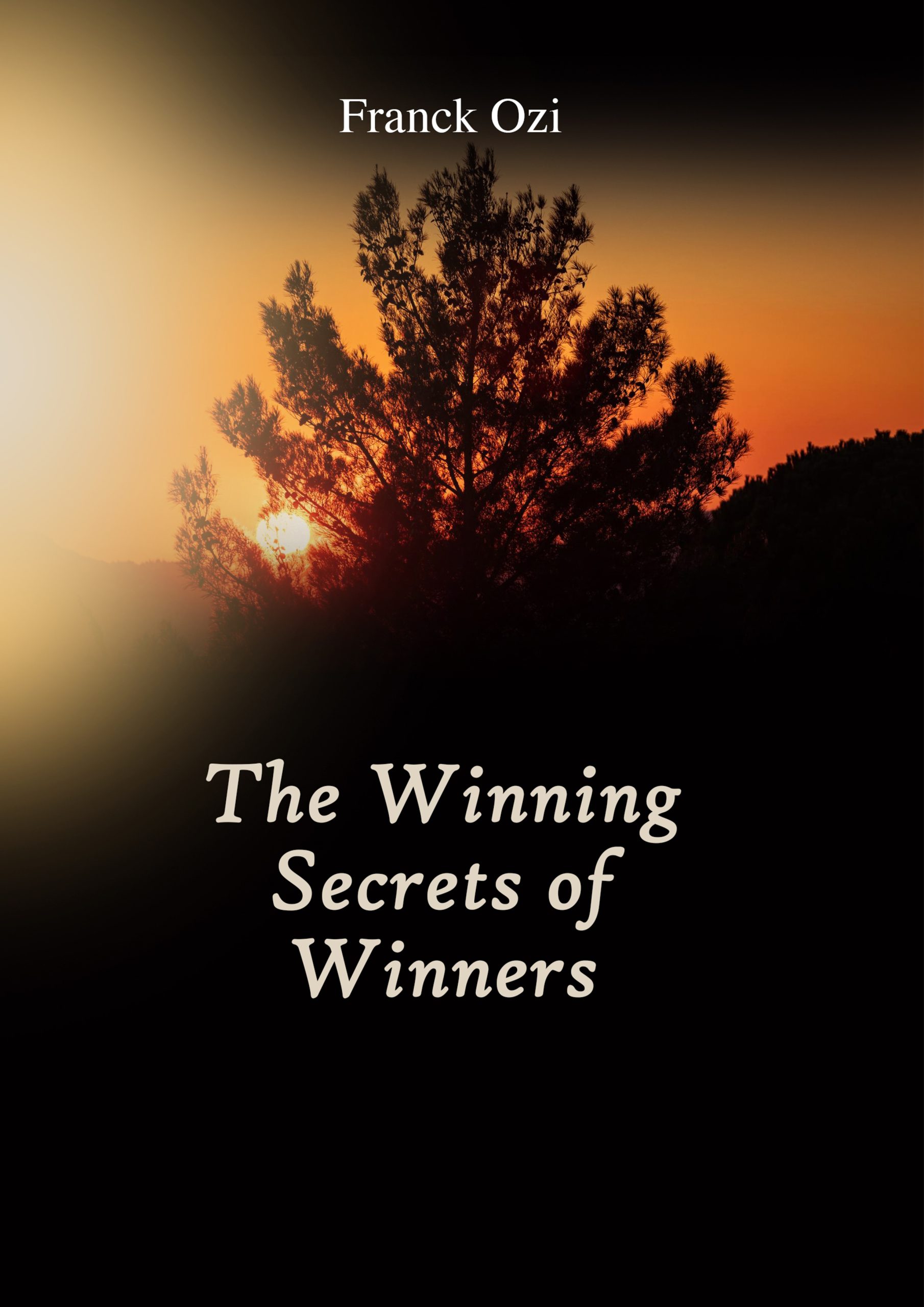 The Winners - English Cover